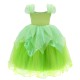 Tinkerbell Costume for Girls with Wings