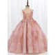 Luxury Shades of Pink Princess Dress with Floral Design and Feathers